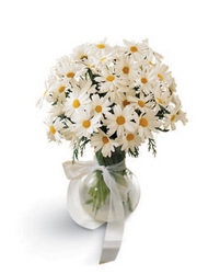 FTD Daisy Vase  from Backstage Florist in Richardson, Texas